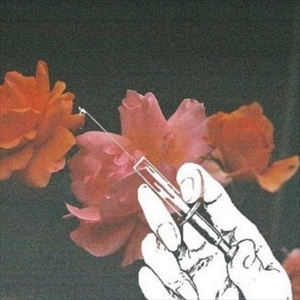 精品录音国产一区在线
