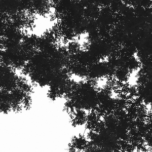 精品录音国产一区在线
