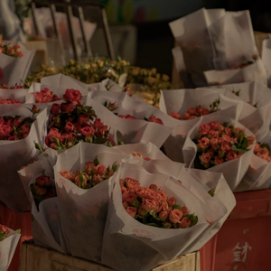 精品录音国产一区在线
