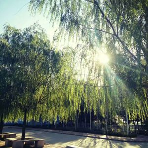 精品录音国产一区在线
